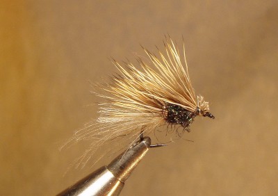 halfdogcdc.jpg (1.6 MiB) Vaadatud 10897 korda 102Y #13