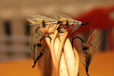 IMG_1100.JPG (176.64 KiB) Vaadatud 11067 korda perek. Silver Grey