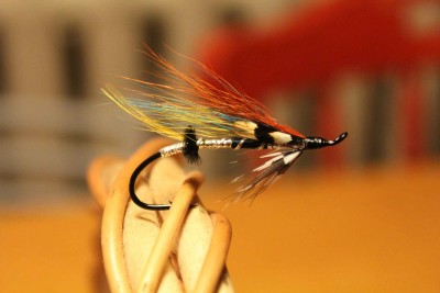 IMG_1101.JPG (146.13 KiB) Vaadatud 11067 korda Mar Lodge