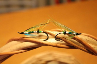 IMG_1106.JPG (149.63 KiB) Vaadatud 11067 korda Vihertävä tenolainen