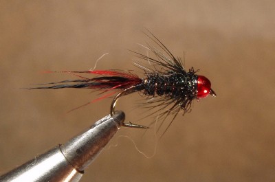 punakuma.jpg (494.14 KiB) Vaadatud 6826 korda B170 #12