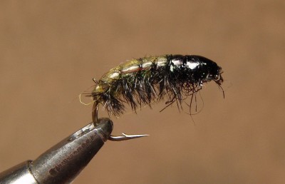 puruvana2.jpg (491.04 KiB) Vaadatud 11325 korda #12 raskustatud