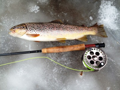 photo 3.JPG (2.96 MiB) Vaadatud 8876 korda Katkine saba!