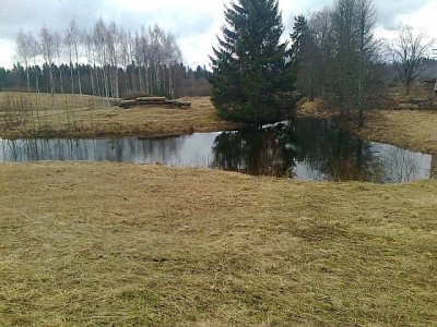 bambusritvadega  harjutamise  tiik .  Klaasfiiber -, süsinikfiiber  ja muude dildodega  vibutamise  tiigi  kaevan  silme alt vähe kaugemale ....  metsa serva.