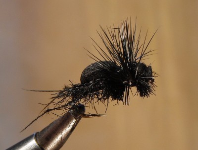 kärbes.jpg (730.28 KiB) Vaadatud 8198 korda kärbes ??? :)