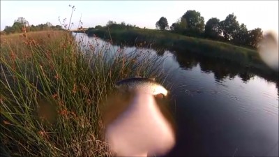 Hetktõmmis 1 (18.08.2014 7-33).jpg