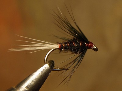 Cruncher1.jpg (462.61 KiB) Vaadatud 8011 korda vasega raskustatud #14 Cruncher