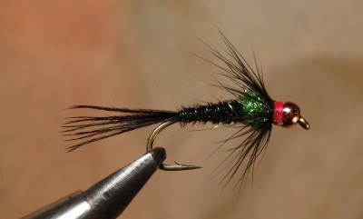 paanikakärbes.jpg (455.88 KiB) Vaadatud 7958 korda tmc 2302 #12