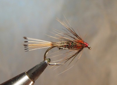 prd.jpg (244.08 KiB) Vaadatud 8616 korda K175 #10