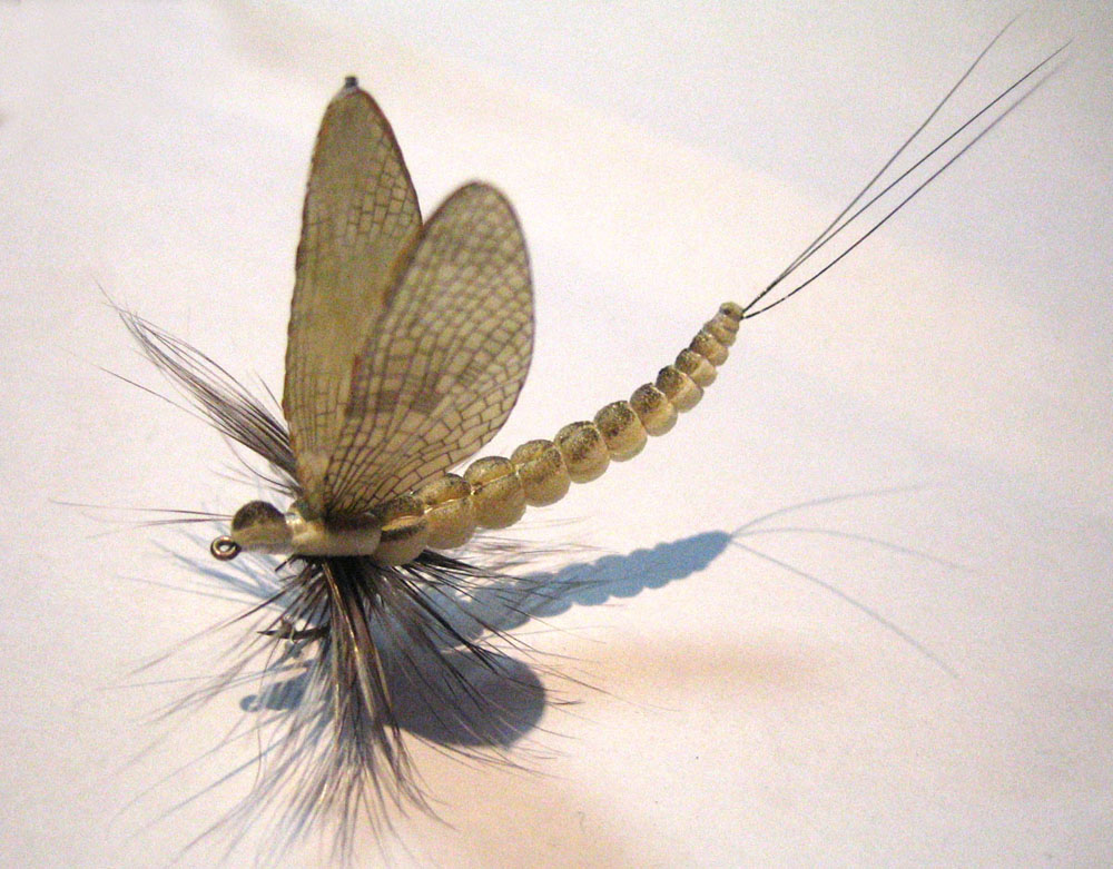 Mayfly-1.jpg