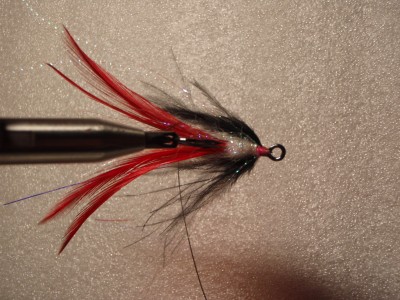 konn2.jpg (974.33 KiB) Vaadatud 9724 korda kala poolt vaadatuna