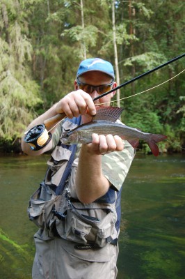 harjus.jpg (700.75 KiB) Vaadatud 9146 korda üks kena harjus vahele