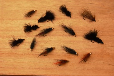 putukad.jpg (287.04 KiB) Vaadatud 9146 korda midagi oli vaja siduda