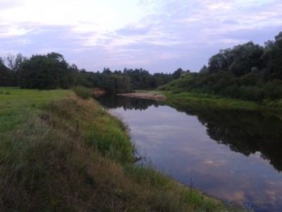 Peegelsile  Koiva  , kevadest  saadik .Kui  õhtu  <br />jooksul  ühe  lupsu  kuuled  , on  hästi.