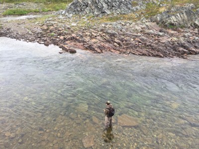 Vaade kõrgemalt