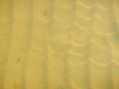 pm2.jpg (105.82 KiB) Vaadatud 10560 korda Leia pildilt kala