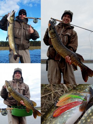 Elamus.jpg (954.98 KiB) Vaadatud 10075 korda Eredamad hetked : 3,77kg ; 4,1kg ja 5,7kg Kõik CR!