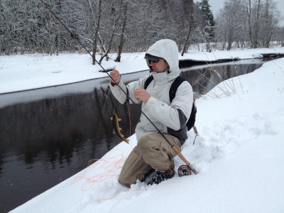 ku.JPG (2.82 MiB) Vaadatud 10881 korda Esimesed sammud...