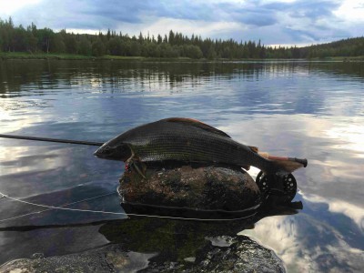 Tasu vaeva nägemise eest