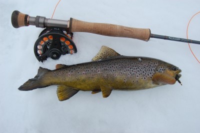 Esimene lennukaga.JPG (693.95 KiB) Vaadatud 10874 korda Sai täna kõvat tuult ja tuisku trotsida. Kasutasin meelega #7 ritva, et tuulega tiba kergem oleks. Lennuka võtsin kätte eelmisel suvel mõned korrad. Nüüd sel hooajal 4 korda käinud. See siis esimene mõõdus kala, kes kosuma läks, et kunagi uuesti kohtud:) Edu kõigile!