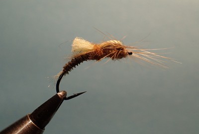 m23.jpg