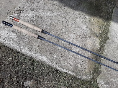20240410_114349.jpg