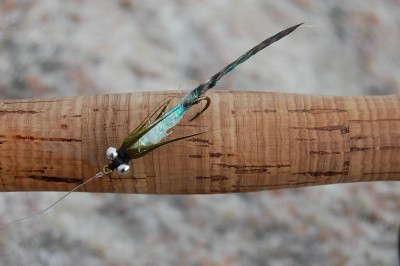 DSC_0686.JPG (685.14 KiB) Vaadatud 9185 korda Merikale.