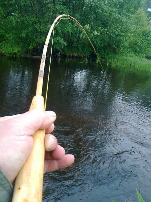 Siin siis painutab kilo ja peale ....pole hirmu ega midagi ....teine kilo võiks veel julgelt juures olla.