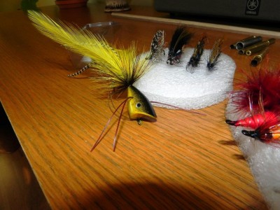 DSCN7563.jpg (196.4 KiB) Vaadatud 9248 korda üks valmis putukas