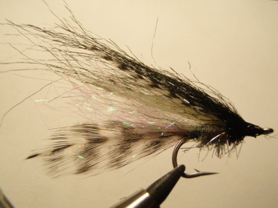 laiali.jpg (481.27 KiB) Vaadatud 9831 korda #6