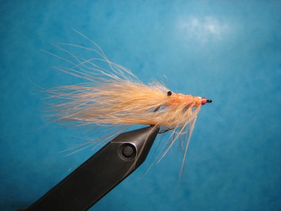 IMG_5790.JPG (2.4 MiB) Vaadatud 21023 korda Pattegrisen #2