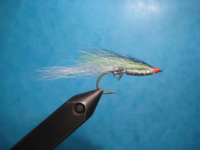 IMG_5799.JPG (2.25 MiB) Vaadatud 21134 korda Haili variant