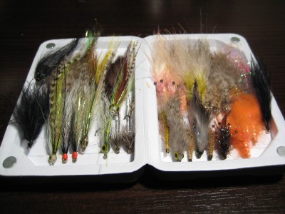 IMG_5808.JPG (2.59 MiB) Vaadatud 21023 korda Väike valik putukaid merele